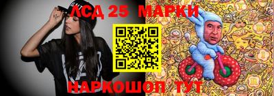 индика Железногорск