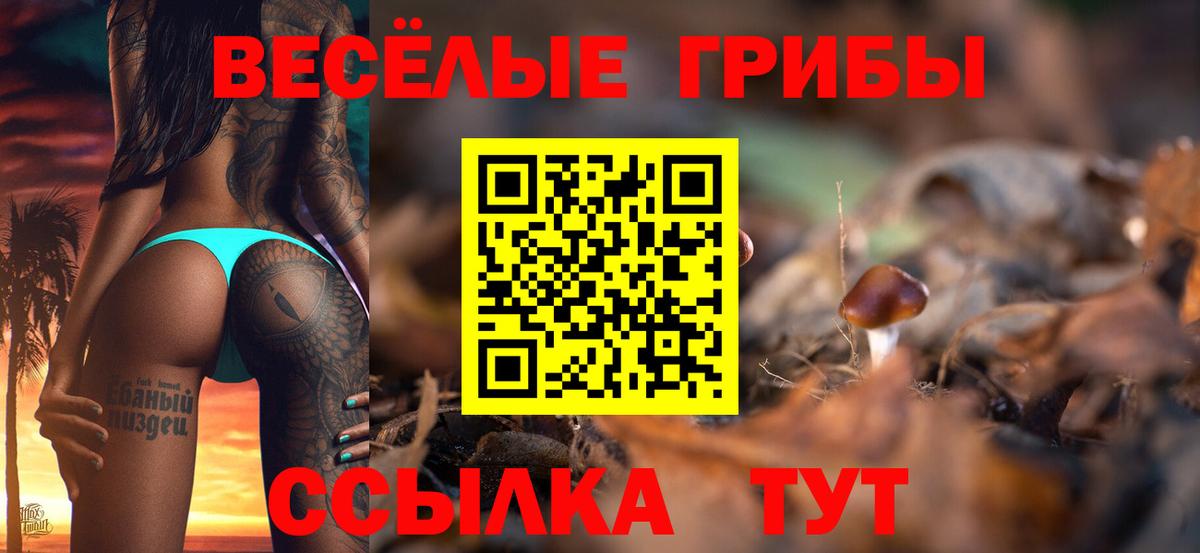 Галлюциногенные грибы прущие грибы  Вход с VPN  Луховицы 